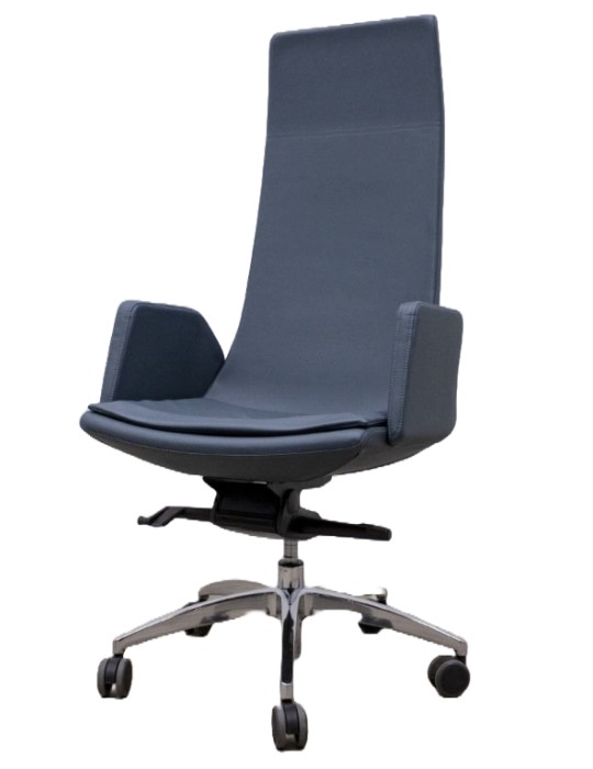 Fauteuil de direction Narbutas bleu - 2Mmobilier