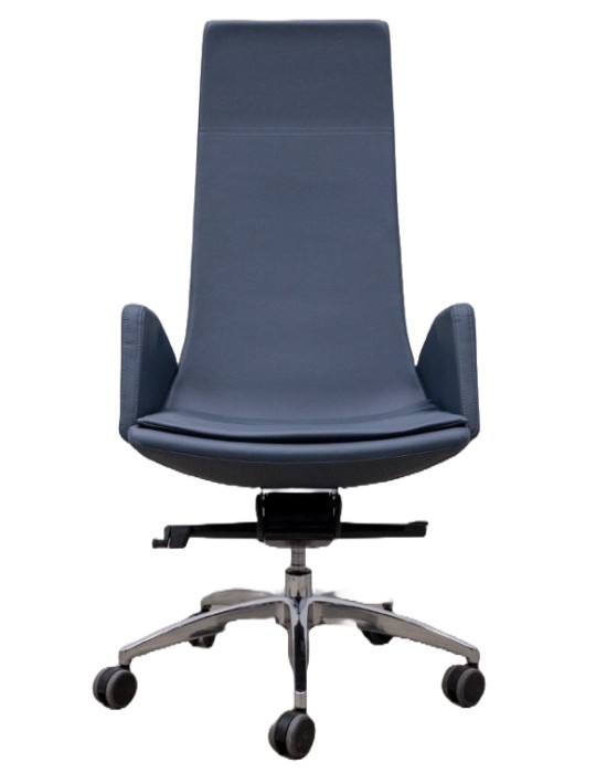 Fauteuil de direction Narbutas bleu - 2Mmobilier