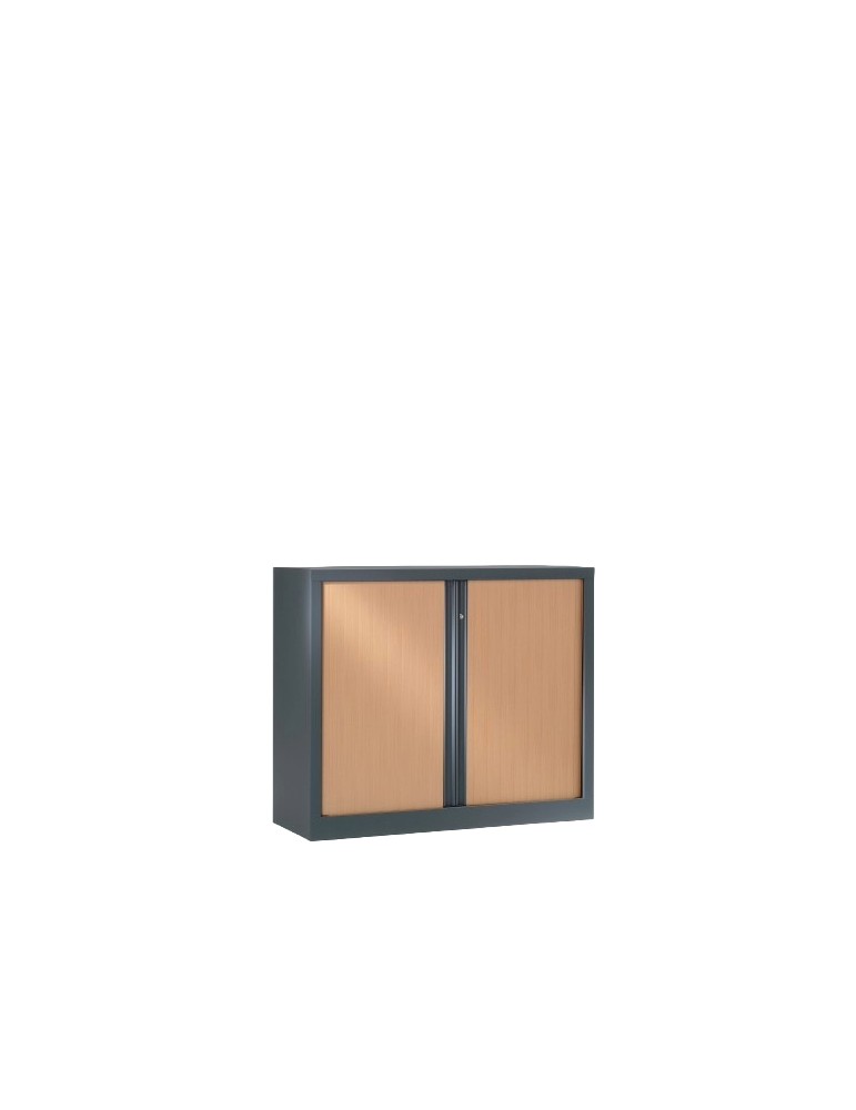 Armoire Basse - Neuf - ETIC - Divers Coloris - L 100 x H 100 cm