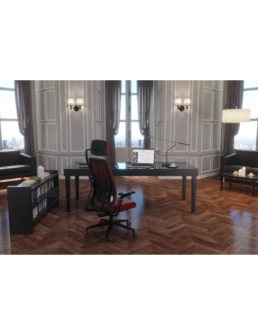 Fauteuil de travail Ergonomique - Morphos - Bleu metil 2