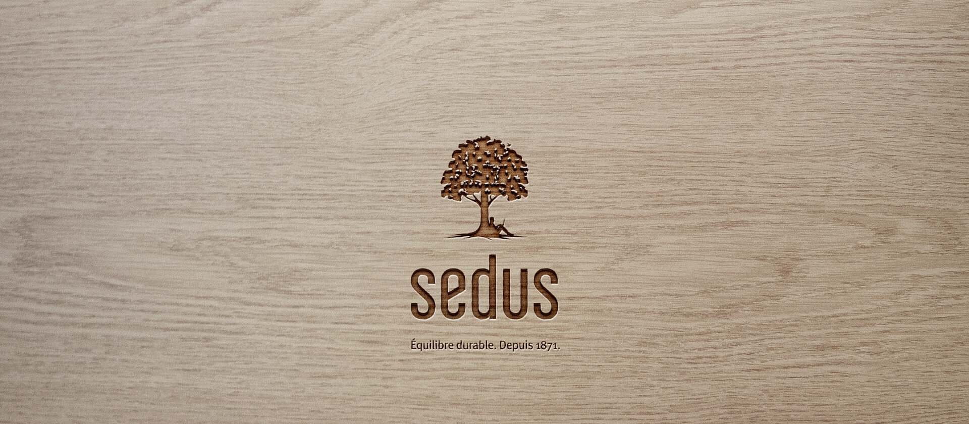 Sedus